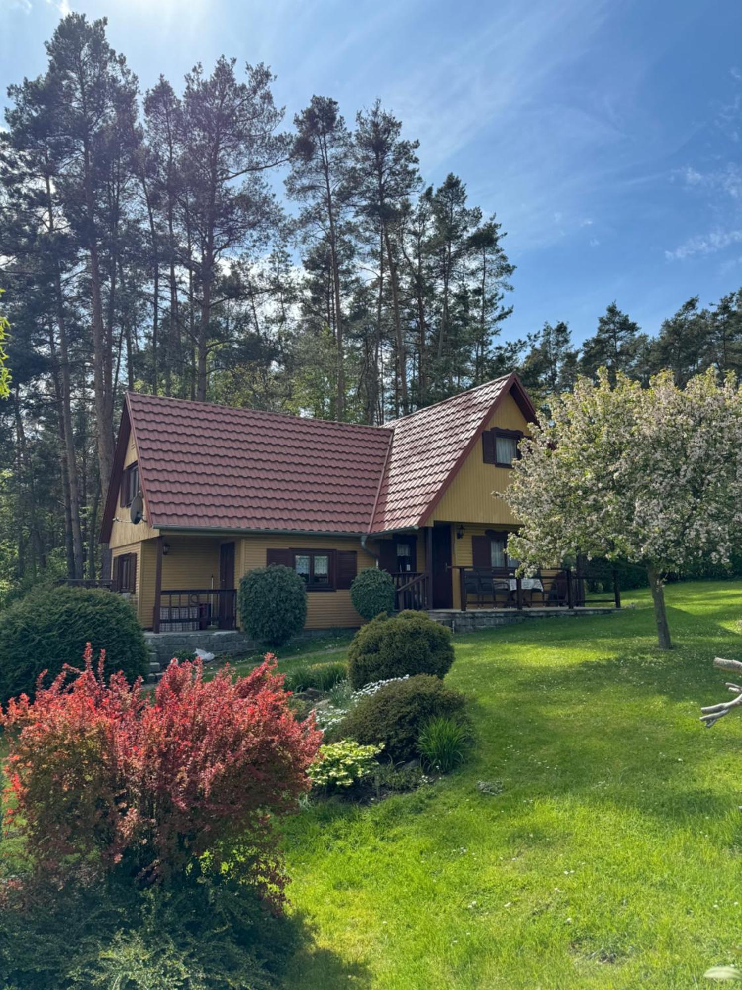 Chata U Lesa Prestice Exterior photo